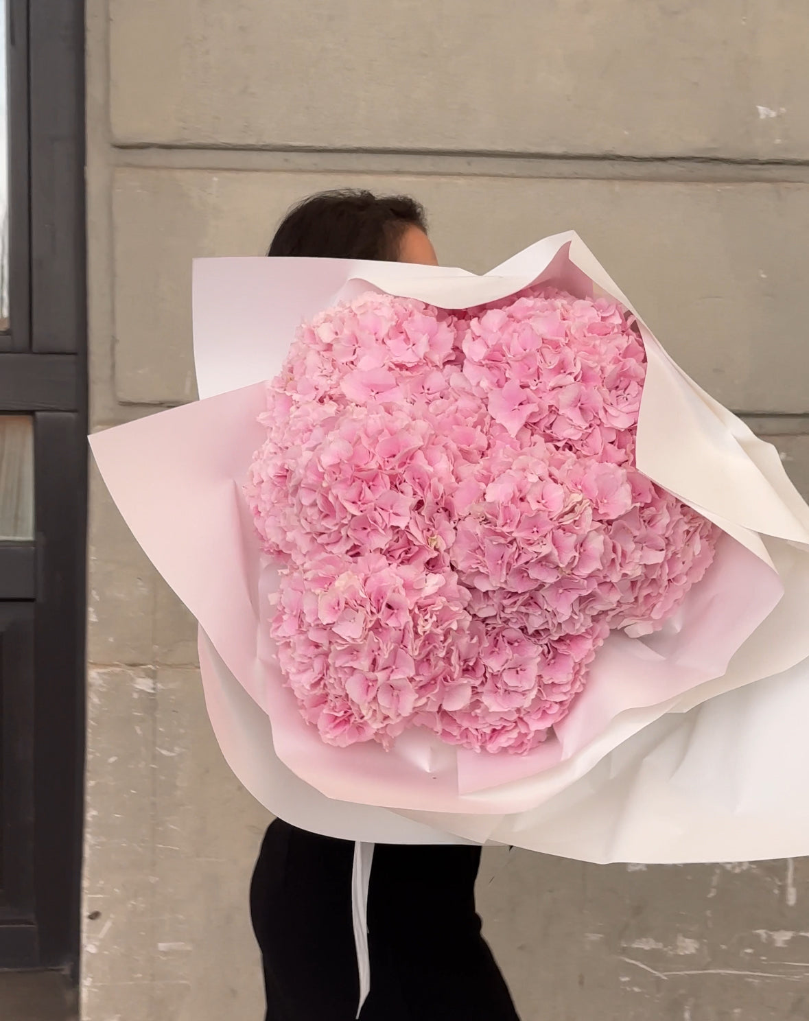 Large headed pink hydrangeas shown in a wrapped bouquet