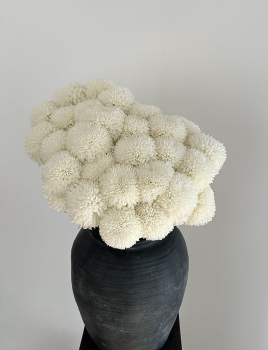 Bouquet of Chrysanthemum - Luxury from Meadow, available in Barcelona