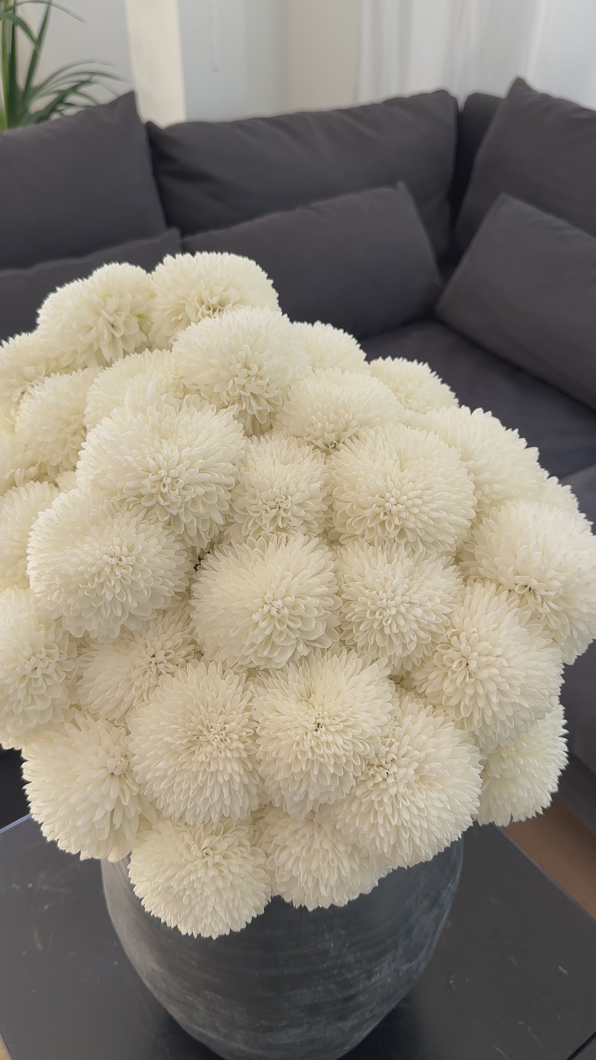 Bouquet of Chrysanthemum - Luxury from Meadow, available in Barcelona